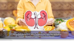 Menu Nutrisi Terbaik bagi Penderita Penyakit Ginjal Kronis untuk Mendukung Pemenuhan Gizi Harian