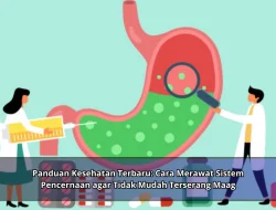 Panduan Kesehatan Terbaru: Cara Merawat Sistem Pencernaan agar Tidak Mudah Terserang Maag