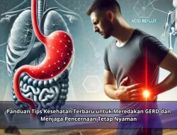 Panduan Tips Kesehatan Terbaru untuk Meredakan GERD dan Menjaga Pencernaan Tetap Nyaman