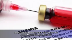 Rahasia Menjaga Kesehatan Tubuh agar Terhindar dari Anemia Melalui Pola Makan Bernutrisi