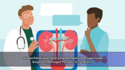 Rahasia Pola Hidup Sehat yang Membantu Menjaga Fungsi Ginjal dan Mencegah Penyakit Ginjal Kronis