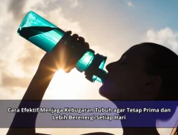 Cara Efektif Menjaga Kebugaran Tubuh agar Tetap Prima dan Lebih Berenergi Setiap Hari