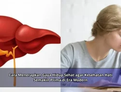 Cara Menerapkan Gaya Hidup Sehat agar Kesehatan Hati Semakin Prima di Era Modern