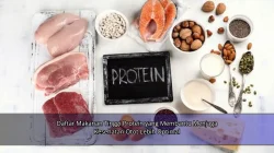 Daftar Makanan Tinggi Protein yang Membantu Menjaga Kesehatan Otot Lebih Optimal