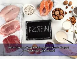 Daftar Makanan Tinggi Protein yang Membantu Menjaga Kesehatan Otot Lebih Optimal