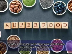 Superfood Pilihan yang Wajib Dikonsumsi untuk Menjaga Kesehatan dan Daya Tahan Tubuh
