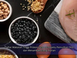 Daftar Makanan Tinggi Protein yang Membantu Pemulihan Otot dan Menambah Energi Harian