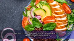 Daftar Nutrisi Esensial yang Dibutuhkan Tubuh Setiap Hari untuk Mendukung Kesehatan Optimal