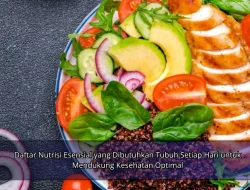 Daftar Nutrisi Esensial yang Dibutuhkan Tubuh Setiap Hari untuk Mendukung Kesehatan Optimal