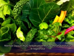Manfaat Sayuran Hijau Terbaik untuk Menjaga Kesehatan Tubuh di Segala Usia
