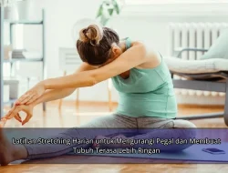 Latihan Stretching Harian untuk Mengurangi Pegal dan Membuat Tubuh Terasa Lebih Ringan