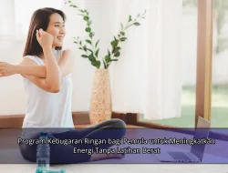 Program Kebugaran Ringan bagi Pemula untuk Meningkatkan Energi Tanpa Latihan Berat