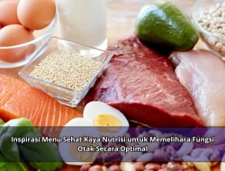 Inspirasi Menu Sehat Kaya Nutrisi untuk Memelihara Fungsi Otak Secara Optimal