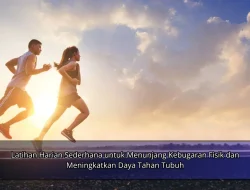 Latihan Harian Sederhana untuk Menunjang Kebugaran Fisik dan Meningkatkan Daya Tahan Tubuh