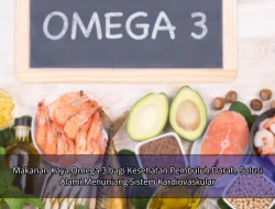 Makanan Kaya Omega-3 bagi Kesehatan Pembuluh Darah, Solusi Alami Menunjang Sistem Kardiovaskular