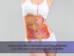 Panduan Gaya Hidup Sehat untuk Mendukung Kesehatan Metabolisme agar Pola Hidup Semakin Berkualitas