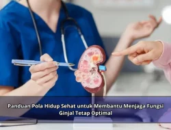 Panduan Pola Hidup Sehat untuk Membantu Menjaga Fungsi Ginjal Tetap Optimal