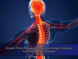 Panduan Praktis Menjaga Kesehatan Saraf dengan Kebiasaan Positif yang Mudah Dilakukan