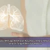 Rahasia Menjaga Kesehatan Paru-Paru melalui Kebiasaan Sehat di Tengah Aktivitas Modern