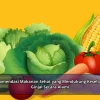 Rekomendasi Makanan Sehat yang Mendukung Kesehatan Ginjal Secara Alami