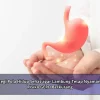 Strategi Pola Hidup Sehat agar Lambung Tetap Nyaman dan Risiko GERD Berkurang