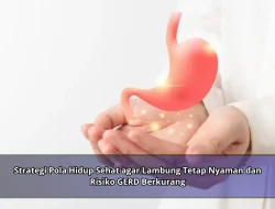 Strategi Pola Hidup Sehat agar Lambung Tetap Nyaman dan Risiko GERD Berkurang