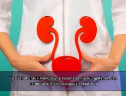 Tips Sehat untuk Mendukung Kesehatan Kandung Kemih dan Mengurangi Risiko Gangguan Sejak Dini