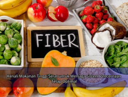 Kenali Makanan Tinggi Serat untuk Menjaga Sistem Pencernaan Tetap Optimal