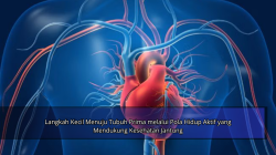 Langkah Kecil Menuju Tubuh Prima melalui Pola Hidup Aktif yang Mendukung Kesehatan Jantung