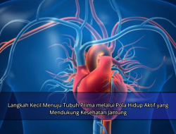 Langkah Kecil Menuju Tubuh Prima melalui Pola Hidup Aktif yang Mendukung Kesehatan Jantung