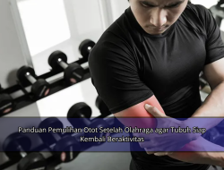 Panduan Pemulihan Otot Setelah Olahraga agar Tubuh Siap Kembali Beraktivitas