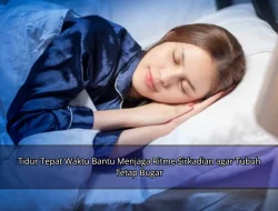 Tidur Tepat Waktu Bantu Menjaga Ritme Sirkadian agar Tubuh Tetap Bugar
