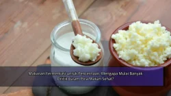 Makanan Fermentasi untuk Pencernaan, Mengapa Mulai Banyak Dilirik dalam Pola Makan Sehat?