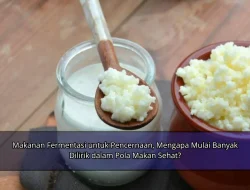 Makanan Fermentasi untuk Pencernaan, Mengapa Mulai Banyak Dilirik dalam Pola Makan Sehat?