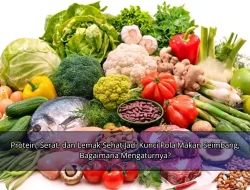 Protein, Serat, dan Lemak Sehat Jadi Kunci Pola Makan Seimbang, Bagaimana Mengaturnya?