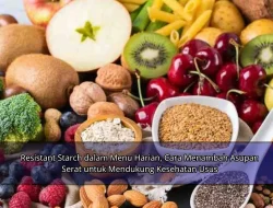 Resistant Starch dalam Menu Harian, Cara Menambah Asupan Serat untuk Mendukung Kesehatan Usus