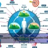 Cara Mengatur Ritme Sirkadian untuk Meningkatkan Kualitas Tidur dan Energi Harian