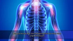 Mengenal Konsep Blue Zone sebagai Inspirasi Pola Hidup Sehat yang Berkelanjutan
