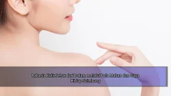 Rahasia Kulit Sehat dari Dalam melalui Pola Makan dan Gaya Hidup Seimbang