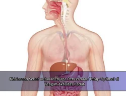 Kebiasaan Sehat untuk Menjaga Pencernaan Tetap Optimal di Tengah Aktivitas Padat