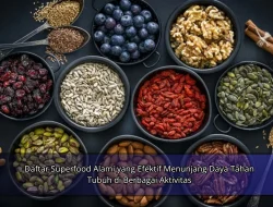 Daftar Superfood Alami yang Efektif Menunjang Daya Tahan Tubuh di Berbagai Aktivitas