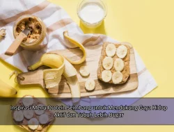 Inspirasi Menu Protein Seimbang untuk Mendukung Gaya Hidup Aktif dan Tubuh Lebih Bugar