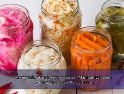 Mengenal Makanan Fermentasi dan Manfaatnya dalam Mendukung Sistem Pencernaan