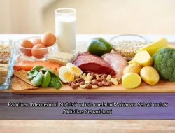 Panduan Memenuhi Nutrisi Tubuh melalui Makanan Sehat untuk Aktivitas Sehari-hari