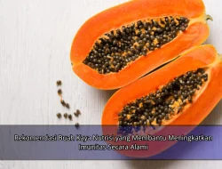 Rekomendasi Buah Kaya Nutrisi yang Membantu Meningkatkan Imunitas Secara Alami