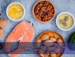 Daftar Makanan dengan Lemak Sehat untuk Menjaga Keseimbangan Nutrisi Tubuh