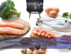 Panduan Konsumsi Omega-3 2026, Mengenal Sumber Makanan dan Perannya bagi Fungsi Otak
