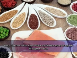 Menu Makanan Sehat Kaya Protein untuk Menunjang Energi dan Kebugaran Tubuh