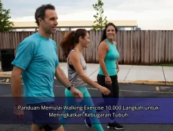 Panduan Memulai Walking Exercise 10.000 Langkah untuk Meningkatkan Kebugaran Tubuh