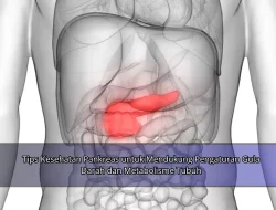 Tips Kesehatan Pankreas untuk Mendukung Pengaturan Gula Darah dan Metabolisme Tubuh